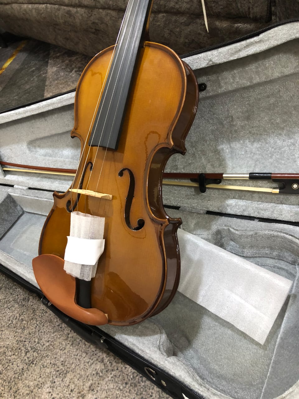 Violin